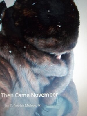 cover image of Then Came November